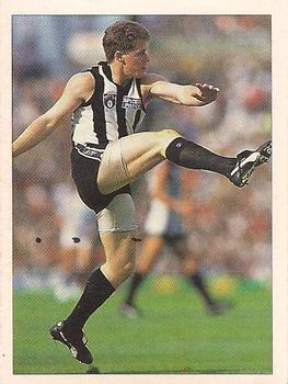 1992 Select AFL Stickers #73 Paul Williams Front